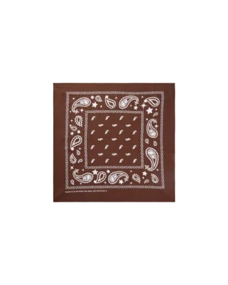 Bandana de cachemira Flying B