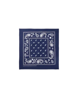 Bandana de cachemira Flying B
