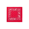 Bandana de cachemira Flying B