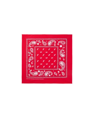 Bandana de cachemira Flying B