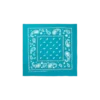 Bandana de cachemira Flying B
