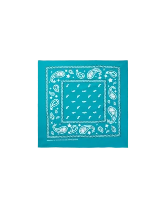 Bandana de cachemira Flying B