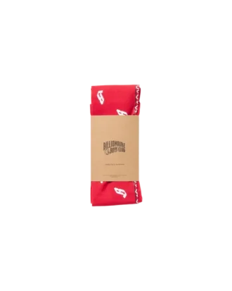 Bandana de cachemira Flying B