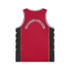 Camiseta de baloncesto de malla Astro