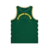 Camiseta de baloncesto de malla Astro