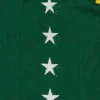 Camiseta de baloncesto de malla Astro