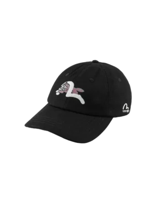 Gorra con logotipo y gaviota bordada