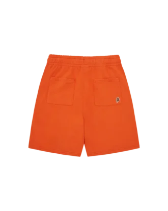 Pantalones cortos Collegiate Puppy