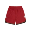 Pantalones cortos de baloncesto de malla Astro Star