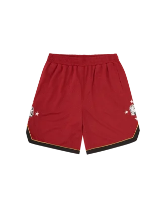 Pantalones cortos de baloncesto de malla Astro Star