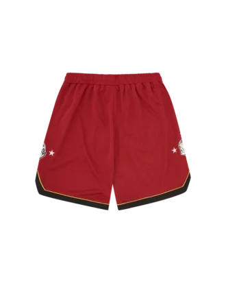 Pantalones cortos de baloncesto de malla Astro Star