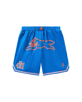 Pantalones cortos de baloncesto Team IC con Running Dog corriendo