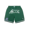 Pantalones cortos de baloncesto Team IC con Running Dog corriendo
