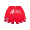 Pantalones cortos de baloncesto Team IC con Running Dog corriendo