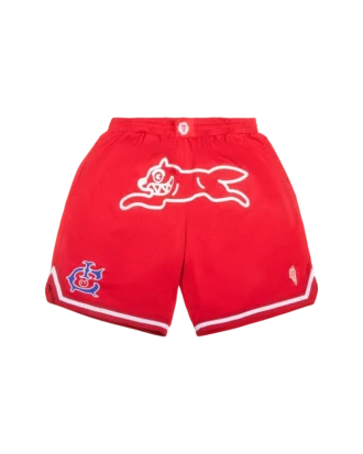 Pantalones cortos de baloncesto Team IC con Running Dog corriendo