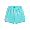 Pantalones cortos de baloncesto Team IC con Running Dog corriendo