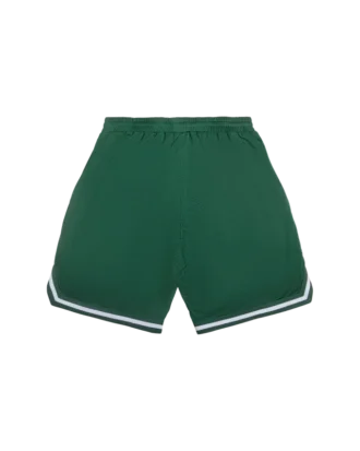 Pantalones cortos de baloncesto Team IC con Running Dog corriendo