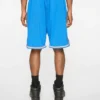 Pantalones cortos de baloncesto Team IC con Running Dog corriendo