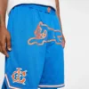 Pantalones cortos de baloncesto Team IC con Running Dog corriendo