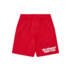 Pantalones cortos de fútbol Astro Mesh para niños