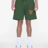 Pantalones cortos Satellite