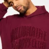 Sudadera con capucha y logotipo de chenilla