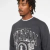 Sudadera universitaria
